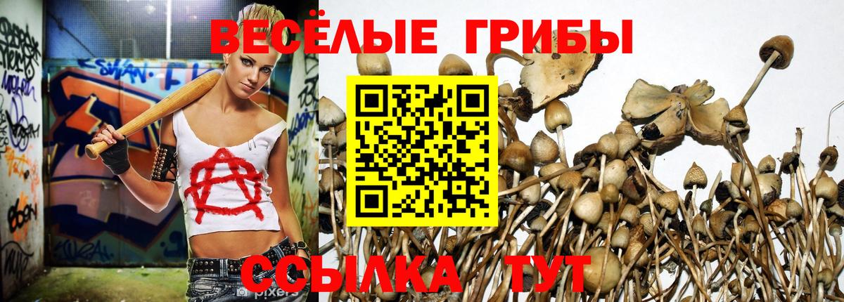 Галлюциногенные грибы Magic Shrooms Уварово
