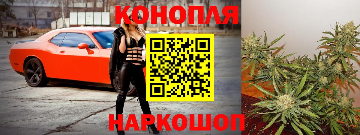 Каннабис OG Kush  МАРИХУАНА план  Вход с VPN  Уварово  Бошки марихуана план 